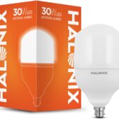 30 WATT LED HALONIX(B22 6500K)
