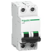 Schneider MCB 40A DP 10kA, White,